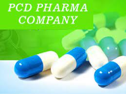 Pharma Franchise Company in Daman & Diu