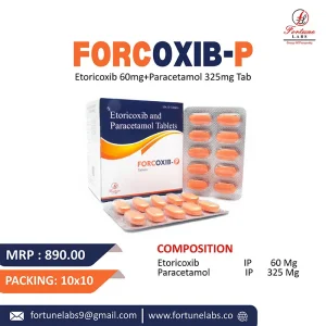 Etoricoxib and Paracetamol Tablets