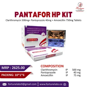 PANTAFOR HP KIT