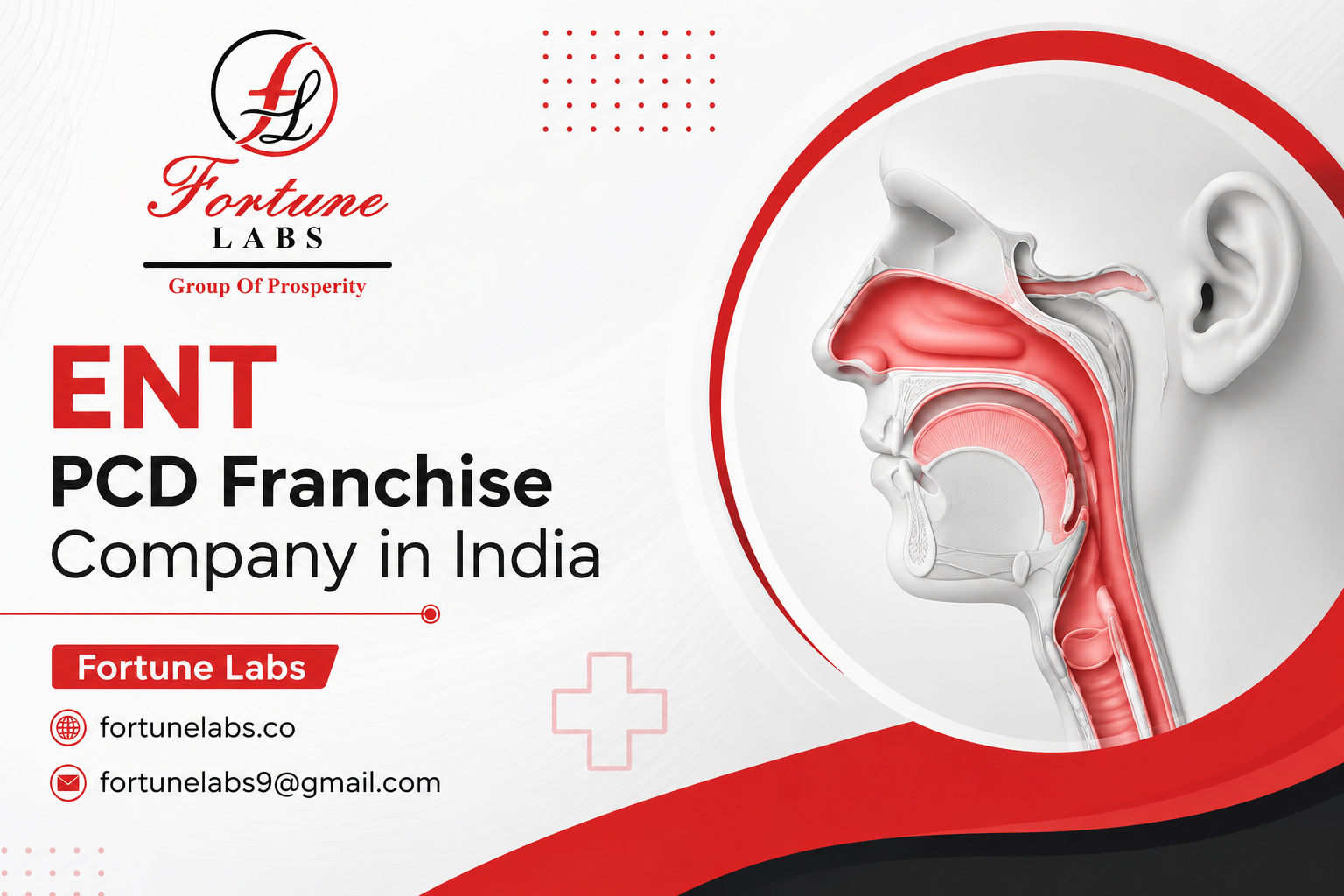 ENT PCD Franchise Company in India