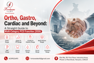 Ortho, Gastro, Cardiac & Multi-Category PCD Pharma Franchise