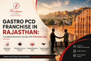 PCD franchise guide in Rajasthan