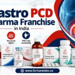 Fortune Labs gastro medicines displayed with a stomach illustration for its Gastro PCD Pharma Franchise in India.